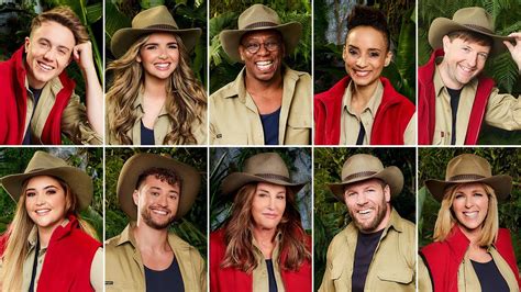 5) links to articles or videos should offer new info I'm A Celebrity POLL! Who is your current favourite? Vote here! | I'm A Celebrity 2019 | TellyMix