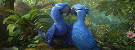 Rio 2 2014 Movie Hd Wallpapers And Facebook Cover Photos Designbolts