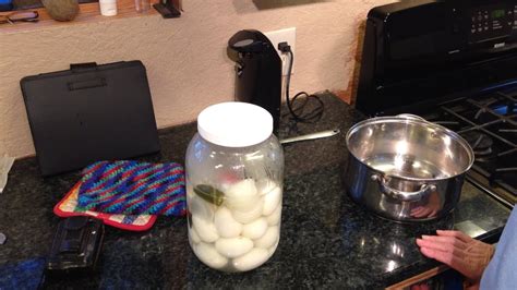 Homestead Cooking Pattis Quickly Pickled Eggs Youtube
