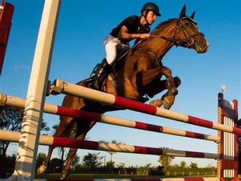 atleta de ms se classifica para brasileiro de hipismo no rio de janeiro esportes campo