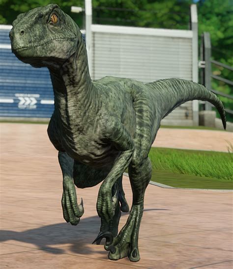 Velociraptor Jurassic World Evolution Wiki Fandom