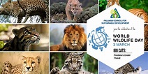 join the celebration of the world wildlife day