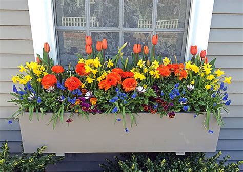With hooks & lattice window boxes, you can add an enchanting floral arrangement that adds color, fresh greenery and a great measure of charm to any window. Great DIY Spring Flower Wreaths and Flower Boxes for Your ...