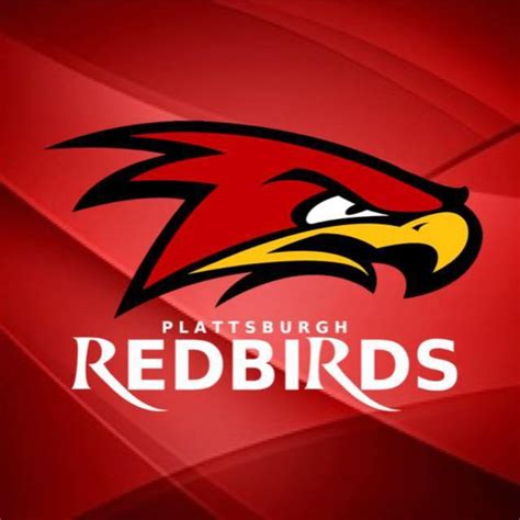 Plattsburgh Redbirds Co Owner Discusses New Professional Baseball Team
