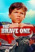 The Brave One (1956) - Michel Ray DVD – Elvis DVD Collector & Movies Store