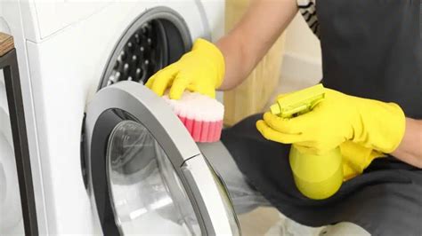 Pourquoi Est Ce Une Bonne Idée De Mettre Une éponge à Vaisselle Dans La Machine à Laver