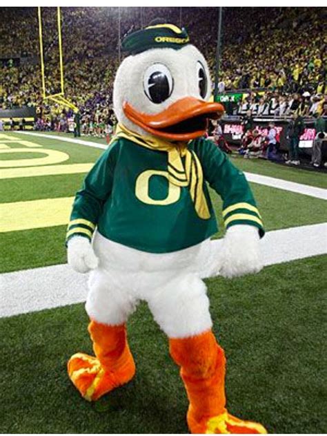 Puddles The Oregon Ducks Mascot College Football Helmets College