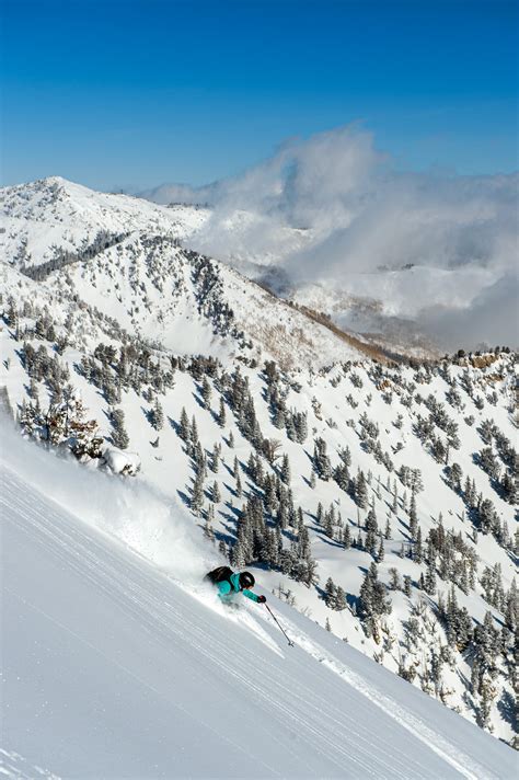 Alta Ski Area, Utah - SKI Magazine Resort Guide Review