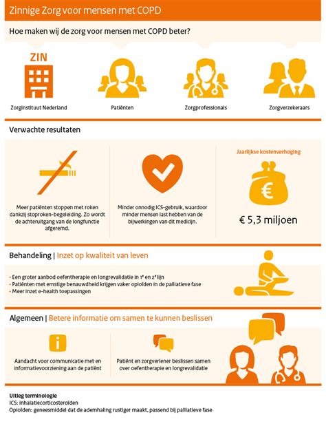 Zinnige Zorg Verbetersignalement Copd Rapport Zorginstituut Nederland