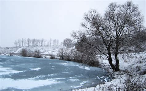 Russia Winter Snow Trees River Ice Hd Wallpapers