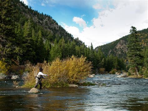 10 Best Fly Fishing Rivers In Colorado Where To Fish Co