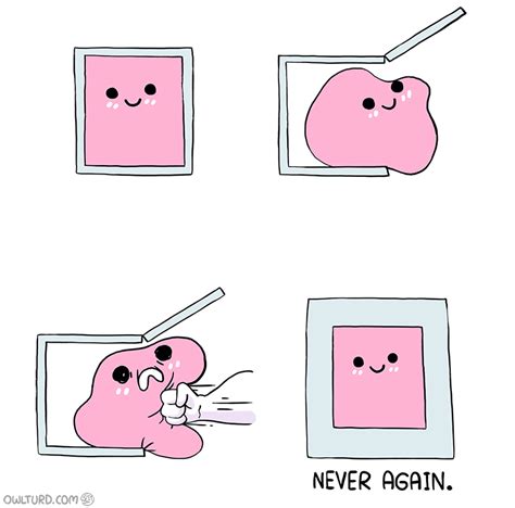 Pink Blob In The Box Blank Template Imgflip
