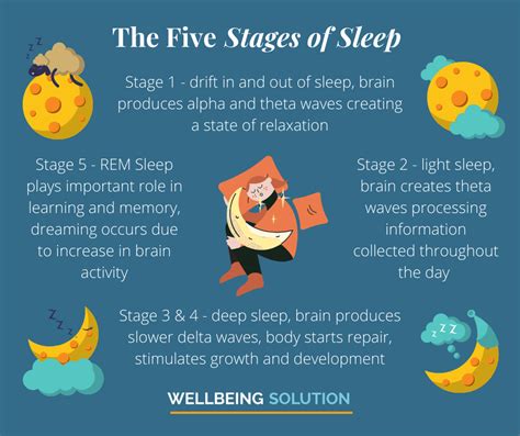Five Stages Of Sleep Stages Of Sleep 5 Stages Of Sleep Sleep Cycle