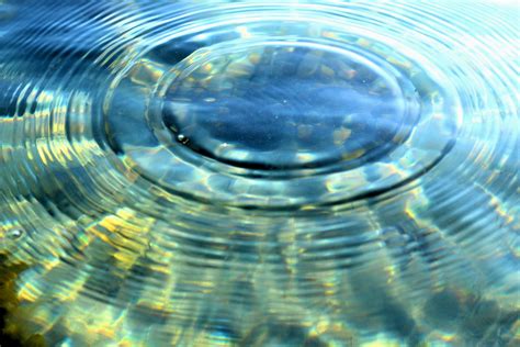 Water Ripple Clear Free Photo On Pixabay Pixabay