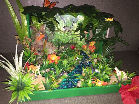 Our Rainforest Diorama For Kindergarten We Got Everything Except The
