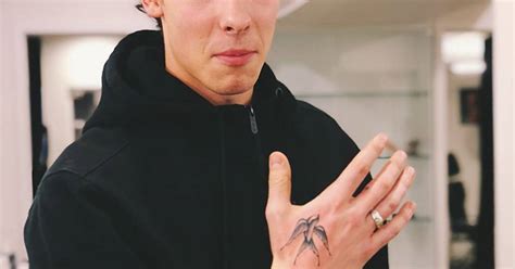 All of his tattoos are very meaninful. Swallow tattoo on Shawn Mendes.