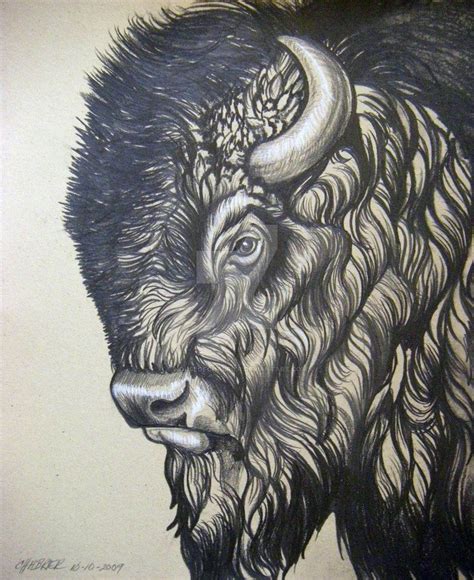 American Bison 1 Bison Art Buffalo Art Buffalo Tattoo