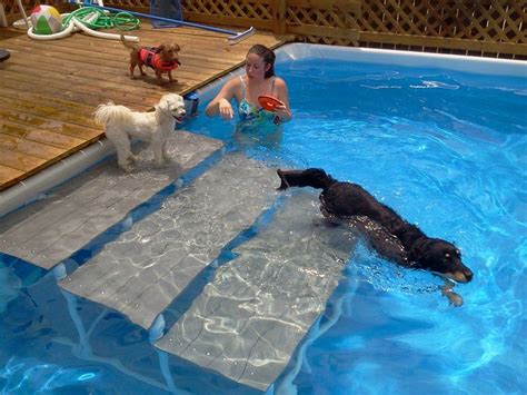 If you have a small in ground pool like the ultimate dog pool above, you won't need this, but if you have a human pool for your dogs to use this will make it much easier for them. The top 22 Ideas About Diy Dog Ramp for Above Ground Pool - Home, Family, Style and Art Ideas