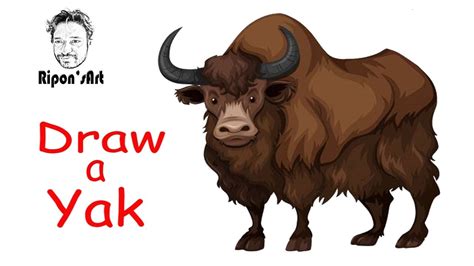 How To Draw A Simple Yak Here S A Simple Way To Place The Features