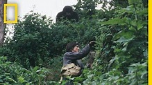 National Geographic - Dian Fossey: Secrets in the Mist DVD-R (2017 ...