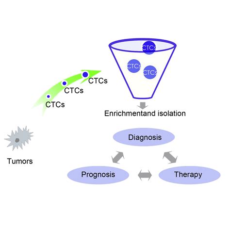 Progress And Application Of Circulating Tumor Cells In Non Small Cell