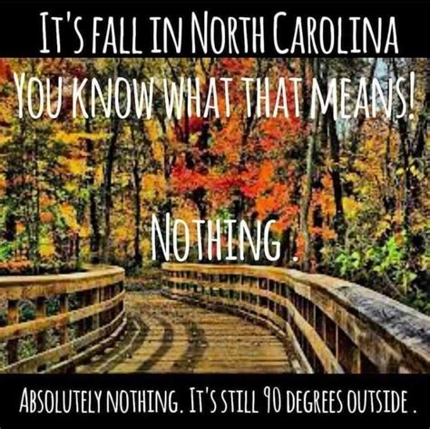 Pin By Amy Caulk On Weather Memes Weather Memes Outdoor The Outsiders