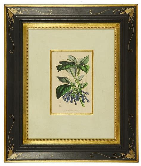 Lot Pair Of Framed Botanical Prints Beautifully Framed Gilded And