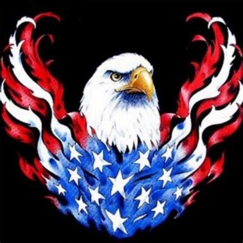 Eagle With Us Flag Wings Diy Diamond Painting American Flag Art