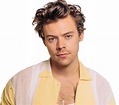 Harry Styles PNG File Download Free | PNG All