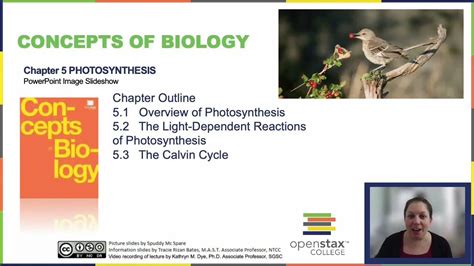 Openstax Concepts Of Biology Chapter 5 Getting Started Youtube