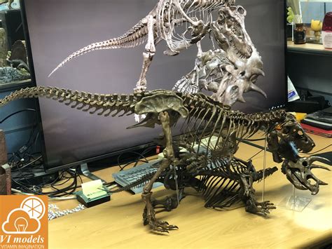 Vitamin Imagination Tyrannosaurus Rex Vs Triceratops Skeleton 1 10 Scale
