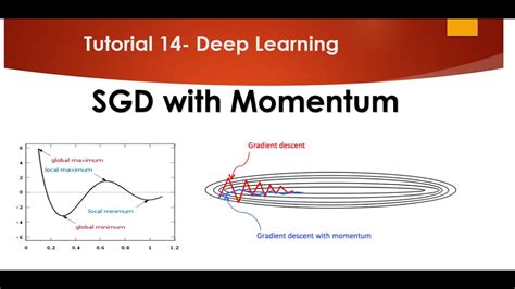 Tutorial 14 Stochastic Gradient Descent With Momentum Youtube