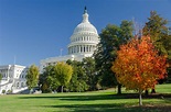 Washington DC - Things To Do in the DC Area | Visit Montgomery, MD