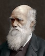 5 datos interesantes sobre Charles Darwin