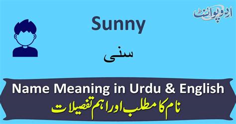 Sunny Name Meaning In Urdu سنی Sunny Muslim Boy Name