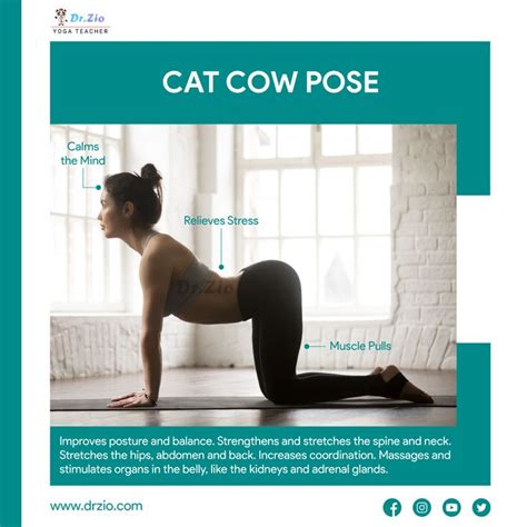 Cat Cow Yoga Pose In Cat Cow Yoga Pose Yoga Teacher Yoga