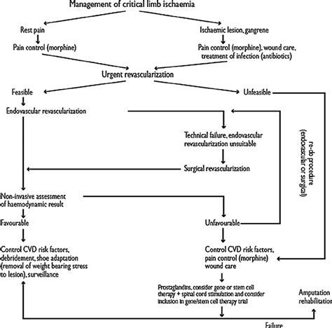 Algorithm For The Management Of Critical Limb Ischaemia Cvd Download Scientific Diagram