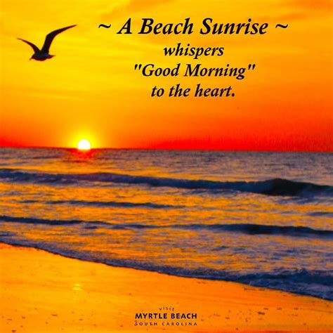 Beautiful Sunrise Scenery With Quotes