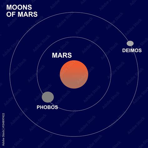 The Moons Or Satellites Of Mars Phobos And Deimos Stock Vector