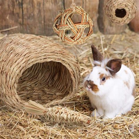 Los Mejores Nidos Para Conejos Y Cómo Usarlos Correctamente Mundo Conejos