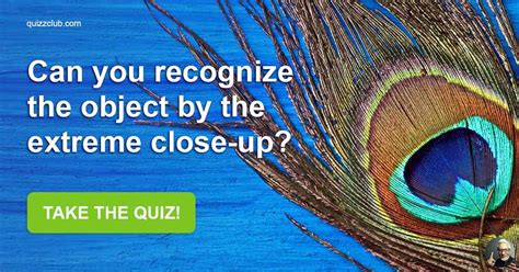 Can You Recognize The Object By The Trivia Quiz Quizzclub