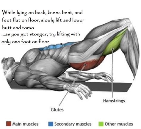 Muscles are named according to their shape, location, or a combination. Heal Thyself (Part 3): How I cured my Painful Knees using my mind….- The GAIA Health Blog