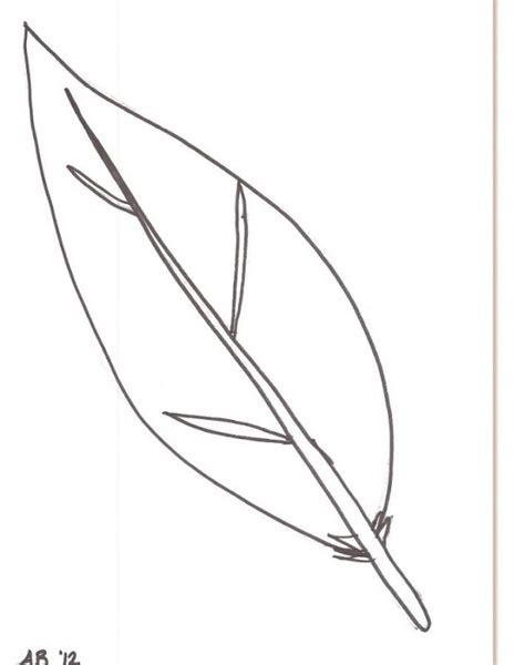 Turkey Feather Coloring Page Coloring Home