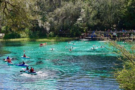 Visiting Floridas Natural Springs In Crystal River Homosassa And