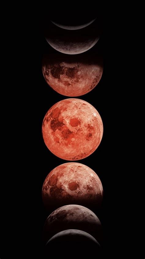 Red Moon Wallpaper Whatspaper