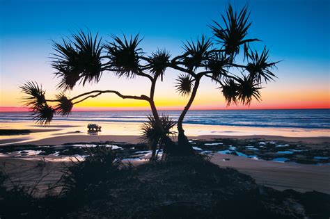 Set Up Camp On Fraser Island In One Of The Many National Parks Or At A