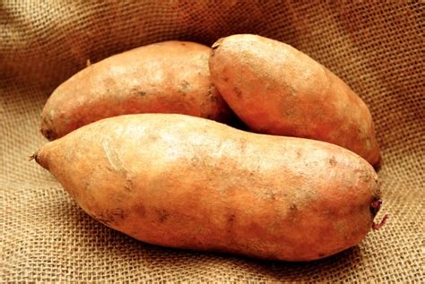 Yam Or Sweet Potato How Do You Know Which Is Which Farmers