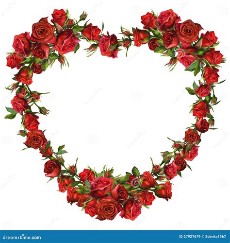 Coração De Rosas Vermelhas Imagens De Stock Royalty Free Imagem 27927679
