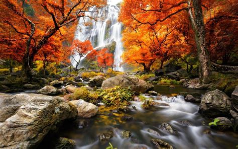 Waterfall River Landscape Nature Waterfalls Autumn Wallpaper