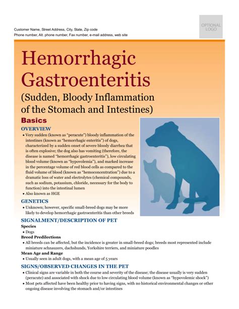 How Is Hemorrhagic Gastroenteritis Treated In Dogs